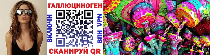 Галлюциногенные грибы Psilocybe  Данков 